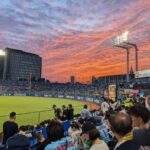 Tokyo: Baseball Game Experience with Local Guide & Snacks - Practical Details and Considerations
