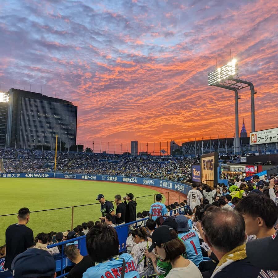 Tokyo: Baseball Game Experience with Local Guide & Snacks - Practical Details and Considerations