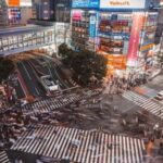 Tokyo City Must See Private Tour Sightseeing Full Customised - Meiji Shrine: A Peaceful Start