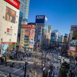 Tokyo City Private Full Day Tour - Real-World Insights from Past Travelers