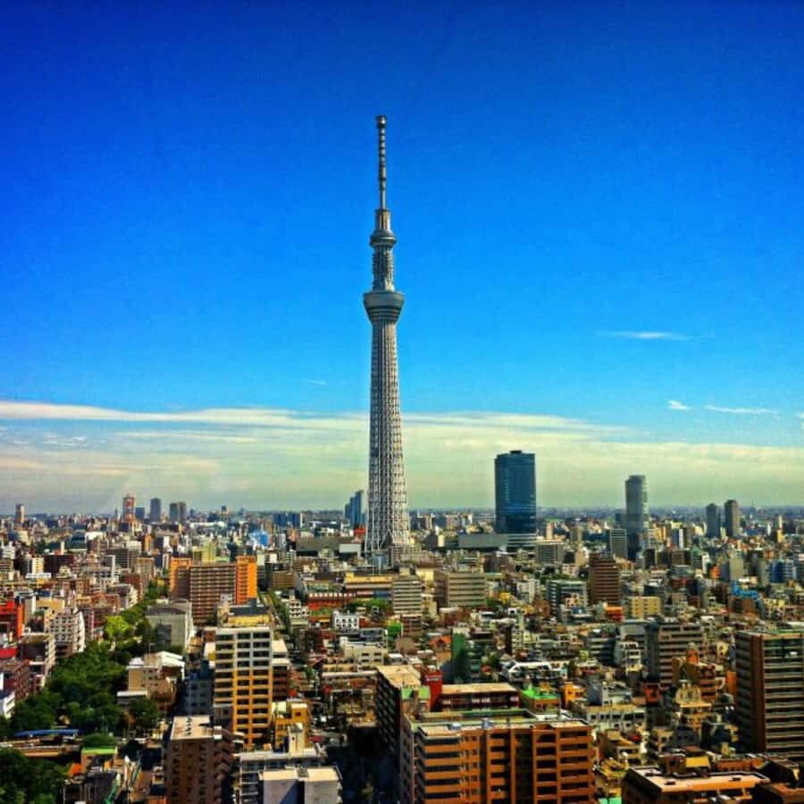 Tokyo City Private Tour With English Guide Hotel Pick & Drop - A Deep Dive into the Itinerary
