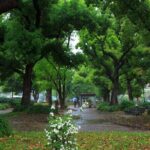 Tokyo City Walking Tour: Tokyo Tower Zojoji Temple and Shiba Park - Authentic Insights from Reviewers