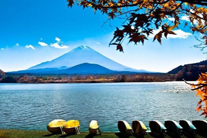 Tokyo: Customized Mt. Fuji & Hakone Sightseeing Private Day Trip - What’s Included and What’s Not?