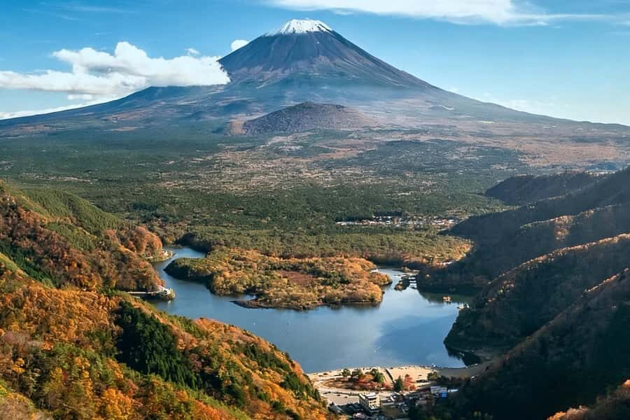 Tokyo: Different Views of Mt Fuji: 3 Lakes & Train Day Tour - The Scenic Train Ride and Local Flavors