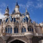 Tokyo Disneyland: 1-Day Entry Ticket and Private Transfer - The Practicality of the Package