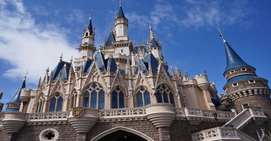 Tokyo Disneyland: 1-Day Entry Ticket and Private Transfer - The Practicality of the Package