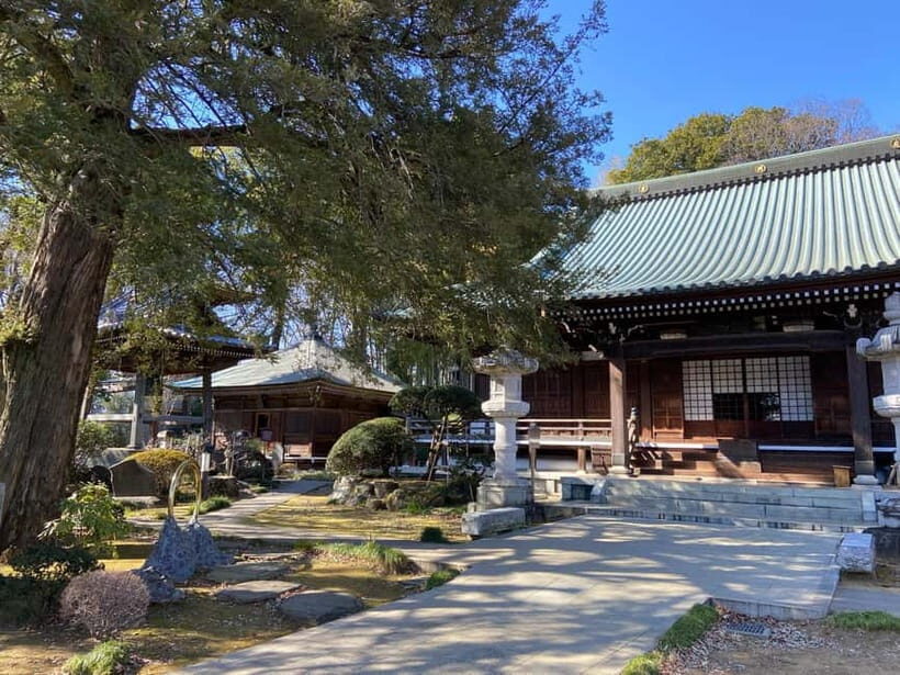 Tokyo: Explore the Authentic Life of a Residential Neighborhood - What to Expect During the Tour