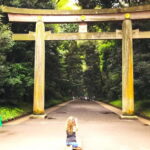 Tokyo: Full Course Tour: Explore 15 Must-Sees & Hidden Gems - The Itinerary Breakdown