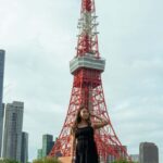 Tokyo Full Day Customizable Private Tour with English Guide - Detailed Breakdown of the Itinerary