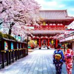 Tokyo Full-Day Private Customizable Tour with English guide - The Guide and Transportation Experience