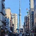 Tokyo Full Day Private Day Tour with English Speaking Guide - Who Is This Tour Best For?