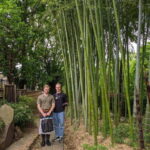 Tokyo: Great Buddha, Museums, Botanical Garden and More - Who Would Love This Tour?