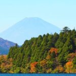 Tokyo: Hakone, Owakudani & Gotemba Premium Outlet 1-Day Tour - Authentic Experiences and Insights