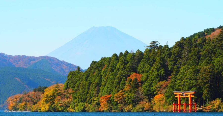 Tokyo: Hakone, Owakudani & Gotemba Premium Outlet 1-Day Tour - Authentic Experiences and Insights