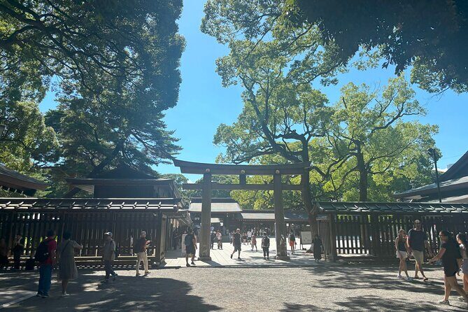 Tokyo Harajuku Walking Tour Meiji Jingu Yoyogi Park and More - Authentic Insights from Past Travelers