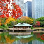 Tokyo Hidden Gems Sumo & Local Streets Day Tour - Who Would Love This Tour?