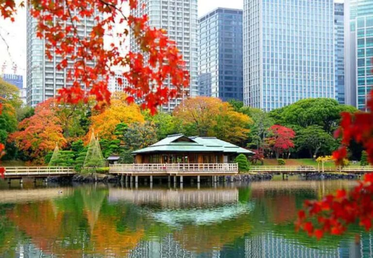 Tokyo Hidden Gems Sumo & Local Streets Day Tour - Who Would Love This Tour?