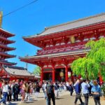 Tokyo Hidden Shrine and Temple Tour - What to Expect on the Tour