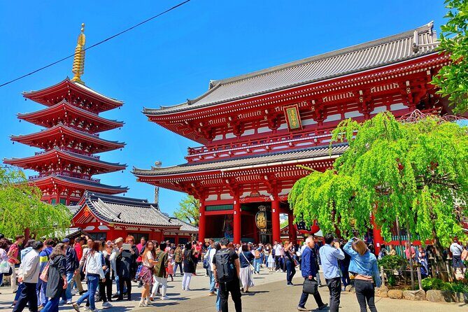 Tokyo Hidden Shrine and Temple Tour - What to Expect on the Tour