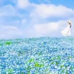 Tokyo & Ibaraki Tour: Hitachi Seaside Park & Adachi Wisteria - Who This Tour is Perfect For