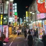 Tokyo Kabukicho Tour & Dinner Party - for Adults Only - Practical Details & Tips