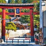 Tokyo: Kamakura & Enoshima private tour - Giant Buddha - What to Expect: An In-Depth Overview