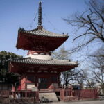 Tokyo: Kawagoe Private Day Trip with National Licenced Guide - Who Should Consider This Tour?