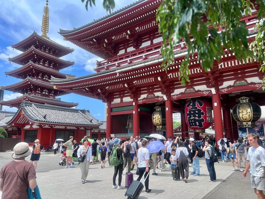 Tokyo: Meiji Jingu Shrine and Shinto Culture Walking Tour - Final Thoughts
