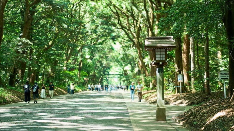 Tokyo: Meiji Shrine Walking Tour  Shinto & Imperial System - Discovering Tokyo’s Most Popular Shrine