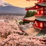Tokyo: Mount Fuji and Hakone private sightseeing tour - Detailed Breakdown of the Itinerary Options