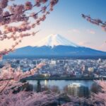 Tokyo: Mount Fuji, Chureito Pagoda Private Tour Customizable - Who Is This Tour Best For?