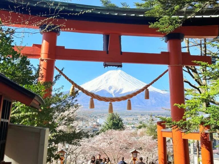 Tokyo: Mount Fuji Full Day Private Customized Tour - A Complete Look at the Experience