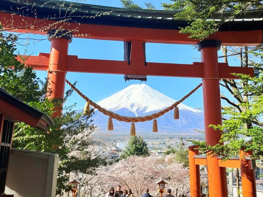 Tokyo: Mount Fuji Full Day Private Customized Tour - A Complete Look at the Experience