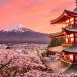 Tokyo: Mount Fuji Full day Private Sightseeing Guided tour - Who Will Love This Tour?