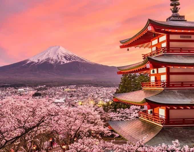 Tokyo: Mount Fuji Full day Private Sightseeing Guided tour - Who Will Love This Tour?