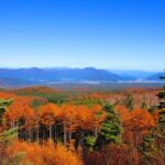 Tokyo: Mount Fuji, Gotemba Outlet, and Hakone Day Trip - The Value of This Tour