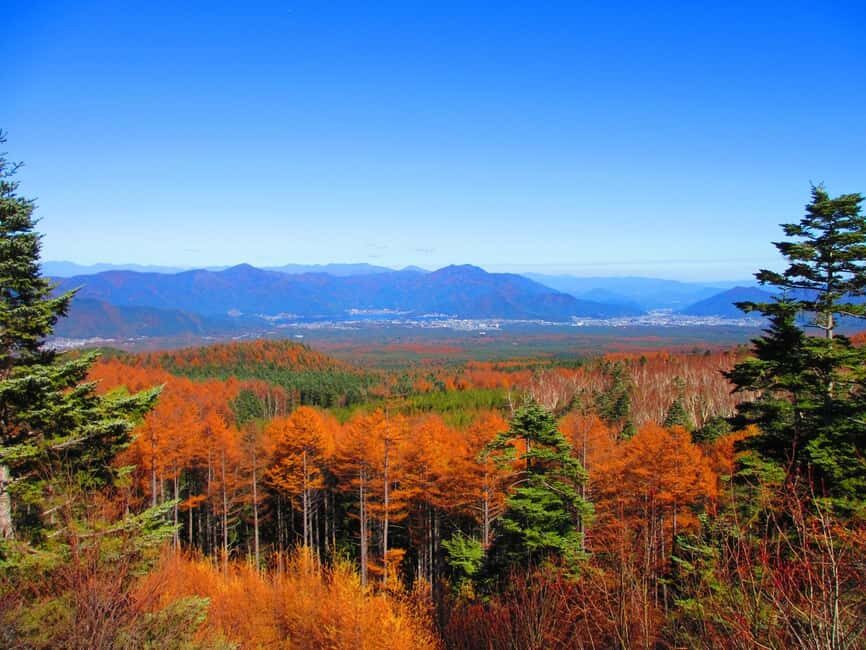 Tokyo: Mount Fuji, Gotemba Outlet, and Hakone Day Trip - The Value of This Tour