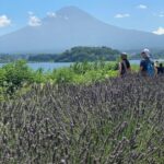 Tokyo: Mount fuji & Hakone Private Day Tour - Whats Included and Whats Not