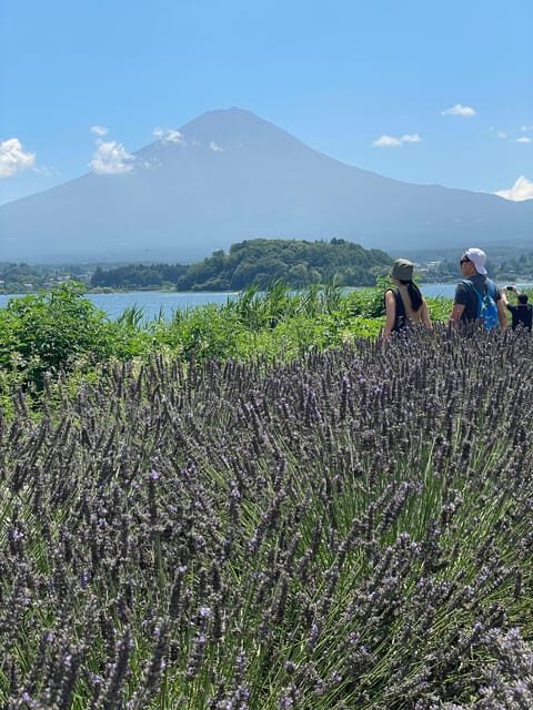 Tokyo: Mount fuji & Hakone Private Day Tour - Whats Included and Whats Not