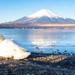 Tokyo: Mount Fuji One Day Trip Lake Kawaguchi & Lake Yamanaka - Transportation, Group Size & Overall Experience
