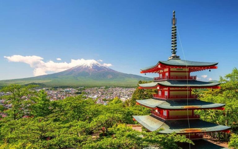 Tokyo: Mount Fuji Private Tour with Scenic Lunch Experience - Who Should Consider This Tour?
