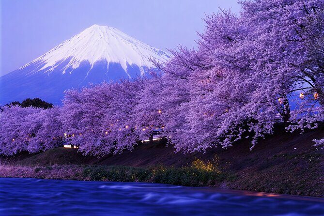 Tokyo: Mt Fuji 3 Lakes Day Trip Secret Spots and Seasonal View - Is It Worth the Price?