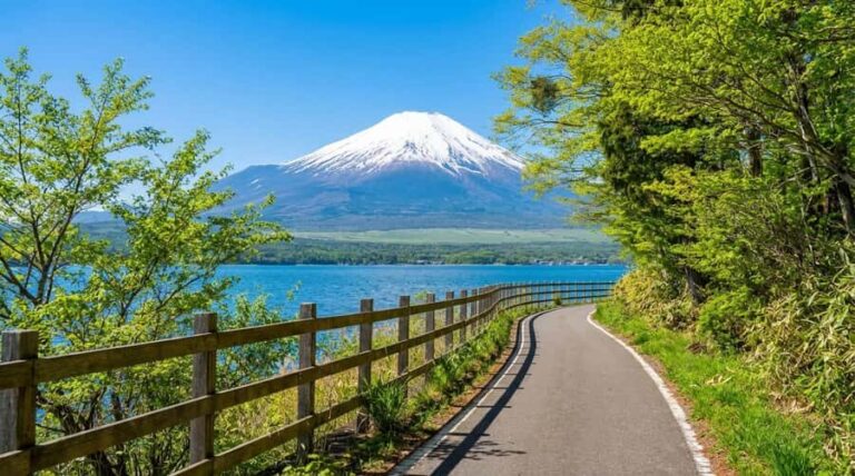 Tokyo: Mt. Fuji 6 Attractions: Lake Kawaguchi, Oshino Hakkai - Transportation & Group Size