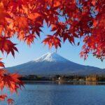 Tokyo: Mt.Fuji & Lake Kawaguchiko 1-Day Bus Tour w/Optional Lunch - The Itinerary in Detail