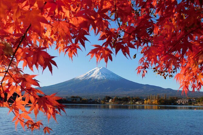 Tokyo: Mt.Fuji & Lake Kawaguchiko 1-Day Bus Tour w/Optional Lunch - The Itinerary in Detail