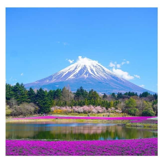 Tokyo: Mt Fuji Private Day Tour By English Driver Low Price - Good To Know