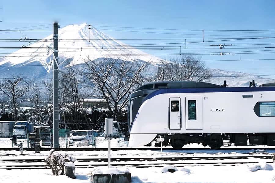 Tokyo: Mt. Fuji,Kawaguchi Lake,Scenic Cruise & Fujikyu Train - The Value and Practical Aspects