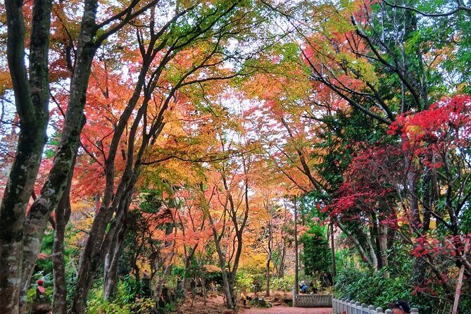 Tokyo: Mt. Takao Tour with Ramen and Tattoo-Okay Hot Spring - Real Travelers’ Insights