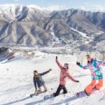 Tokyo: Naeba Ski, Kiyotsu Gorge and Fruit Picking Two Days - An In-Depth Look at the Tour Experience