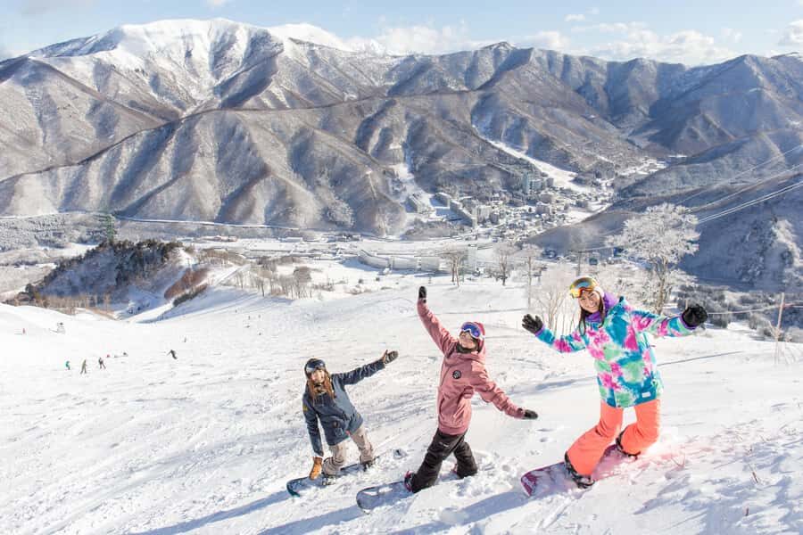 Tokyo: Naeba Ski, Kiyotsu Gorge and Fruit Picking Two Days - An In-Depth Look at the Tour Experience